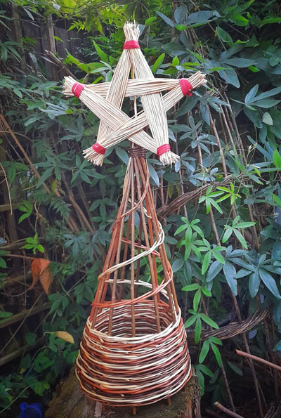 Willow weave tree