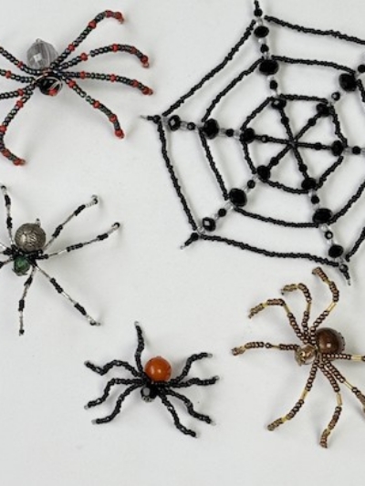 Spiders and web